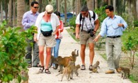 Anzahl von Touristen in Zentralvietnam steigt stark zum Nationalfeiertag