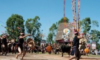 Schlachtfest der Wasserbüffel der Bana