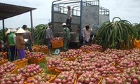 Vietnam will verstärkt landwirtschaftliche Produkte exportieren