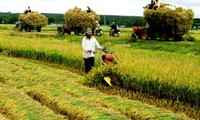 Die Investition der Unternehmen in der Landwirtschaft verstärken