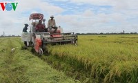 Das vietnamesische Mekongdelta bereitet sich auf TPP vor