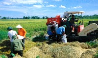 TPP, die Chance für die Restrukturierung der Landwirtschaft