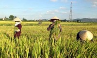 Neugestaltung ländlicher Räume in Quang Ninh ist fast fertig gestellt