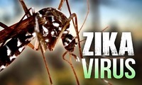 Kein Zika-Virus bislang in Vietnam entdeckt