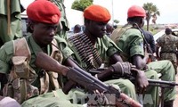 Weltsicherheitsrat ruft die Nachbarländer Südsudans auf, sich für den Stopp der Gefechte in Juba