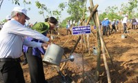 Weitere Veranstaltungen zum 127. Geburtstag des Präsidenten Ho Chi Minh