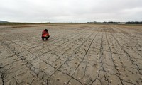 Bürgermeister aus aller Welt rufen G20-Spitzenpolitiker zum Kampf gegen den Klimawandel auf