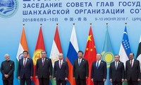 SCO unterstützt die Lösung der Konflikten auf der Grundlage der internationalen Gesetze