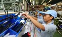 Internationale Experten: Vietnam zeigt die Jugend der Wirtschaft