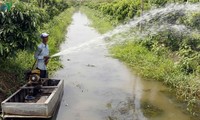 Bauern in der Gemeinde Truong Thanh helfen einander beim Obstanbau