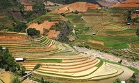 Das Fest zur Entdeckung der Terrassenfelder in Mu Cang Chai