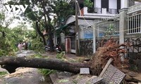 Taifun Noul schwächt sich zu einem tropischen Tiefdruckgebiet ab