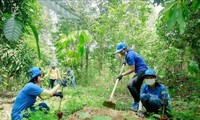 Eine Milliarde Bäume pflanzen, Wälder schützen