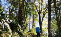 Eröffnung des “Marathon-Turniers der alten Steinstraße Pavi”