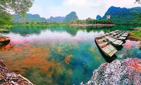 Das internationale Fotografie-Festival Vietnam wird in Ninh Binh stattfinden