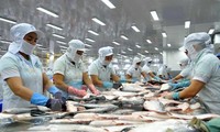 Pangasius-Exportvolumen in die EU geht in den ersten fünf Monaten des Jahres zurück