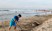 Das Meer der Heimat grüner machen