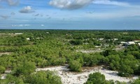 Die Weltbank unterstützt die Stadt Vinh Long bei der Anpassung an den Klimawandel