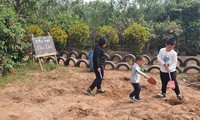 Hanoi wird eine Fußgängerzone im Stadtbezirk Hoang Mai einrichten 