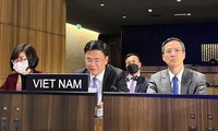 Vietnam nimmt am 214. Exekutivrat der UNESCO teil