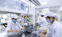 Viele ausländische Unternehmen möchten aufgrund der Vorteile von EVFTA-Abkommen in Vietnam investieren