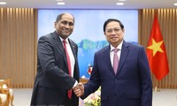 Premierminister Pham Minh Chinh empfängt Singapurs Botschafter und Exekutivdirektor der Temasek-Stiftung