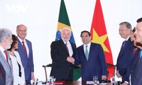 Gemeinsame Erklärung zwischen Vietnam und Brasilien