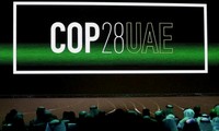 COP28 und Herausforderungen