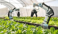 Erfahrungsaustausch in der intelligenten Landwirtschaft zwischen Vietnam und Australien