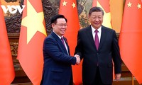 Effiziente Umsetzung der Kooperationsmechanismen zwischen Vietnam und China fördern