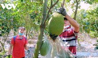 Vietnamesische Früchte werden auf 60 Märkten weltweit verkauft