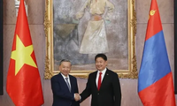 Vietnam und die Mongolei etablieren die umfassende Partnerschaft