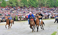 Traditionelles Pferderennen auf dem Weißen Plateau von Bac Ha