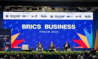 BRICS-Staaten legen erstmals gemeinsamen Vorschlag für IWF-Reform vor