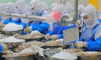 Vietnam ist der drittgrößte Exporteur von Meeresfrüchten auf den singapurischen Markt
