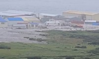 Erdbeben in Kamtschatka: Nachbeben der Stärke 6,4 im Osten der Kurilen