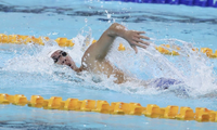 SEA Games 33: Vietnamesisches Schwimmteam gewinnt sechs Goldmedaillen und belegt den 2. Platz in der Gesamtwertung