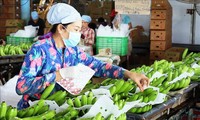 신선한 과일 및 가공 과일 제품 한국으로 수출 촉진