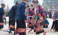 전국 각지 봄빛 축제