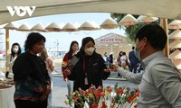 한국 내 베트남 문화관광축제  ​