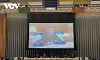 베트남, 중소득 국가 내 SDGs 실행에 국제 협력 강화 호소