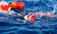 리선섬에서 첫 베트남 바다 수영 대회 개최