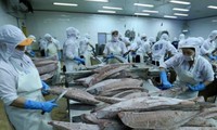 참치, 베트남의 수출용 수산물 상위 3위