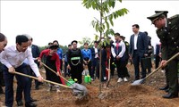 보 반 트엉 주석, ‘호찌민 주석의 공로를 기리는 식목의 설’ 프로그램 시작