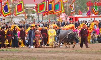 2024 도이선 적전(籍田) 축제 개최