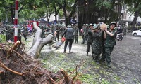 ADB, 태풍 ‘야기’ 피해 복구에 베트남을 위한 2백만 달러 지원금 승인