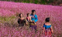 하장 동반 돌고원 지역 ‘그리운 꽃의 땅’ 축제 개막