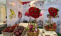 베트남 청과 기업, 2025 프룻 로지스티카(Fruit Logistica) 참가