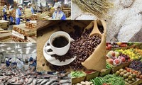 까다로운 韓‧日 시장을 정복하는 베트남 농산물