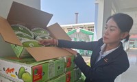 띠엔장성 망고, 미국으로 첫 수출